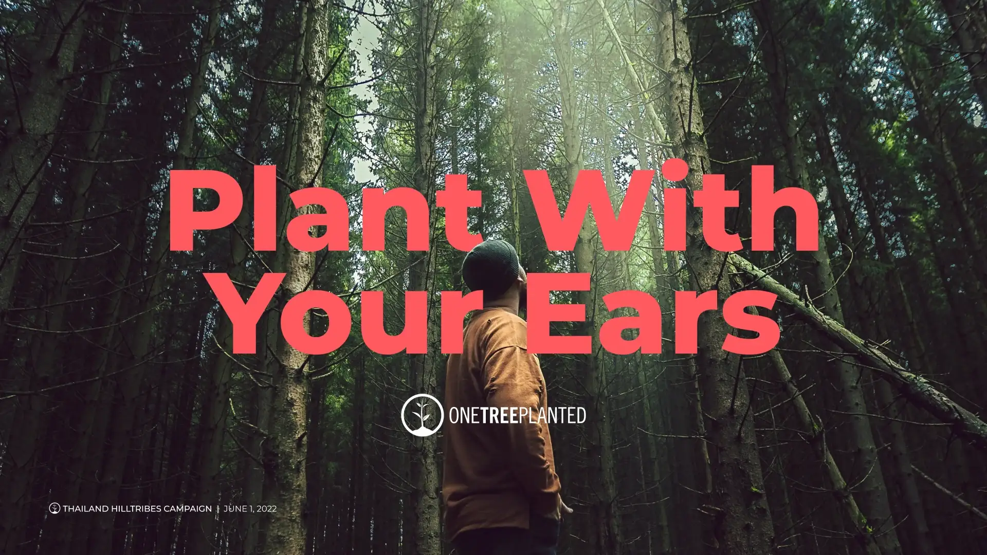 Plant With Your Ears title card: a man standing in a tall pine forest
