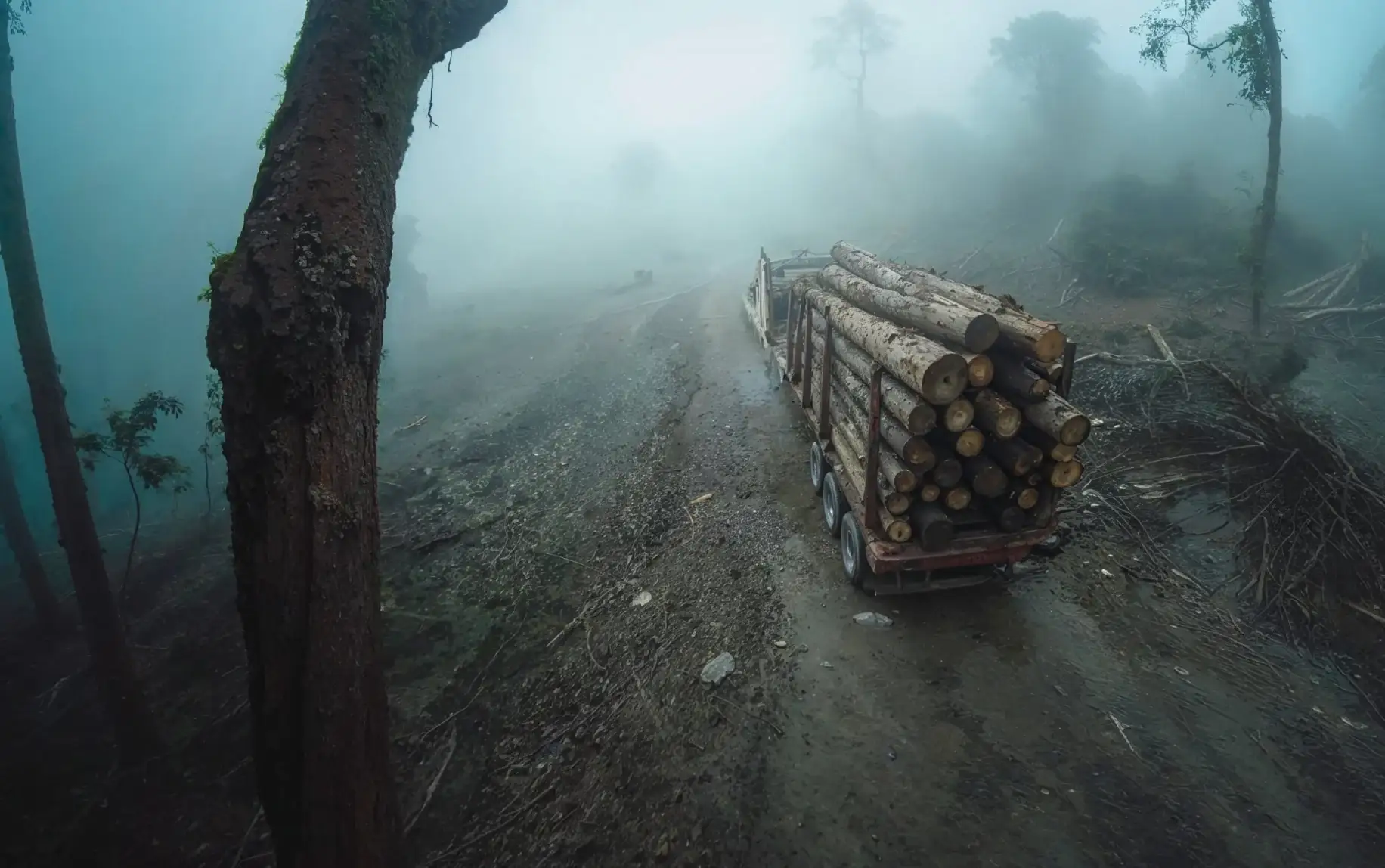Arte en vista de cámara: un camión maderero en un camino de bosque con neblina (dirección de arte generada con IA)