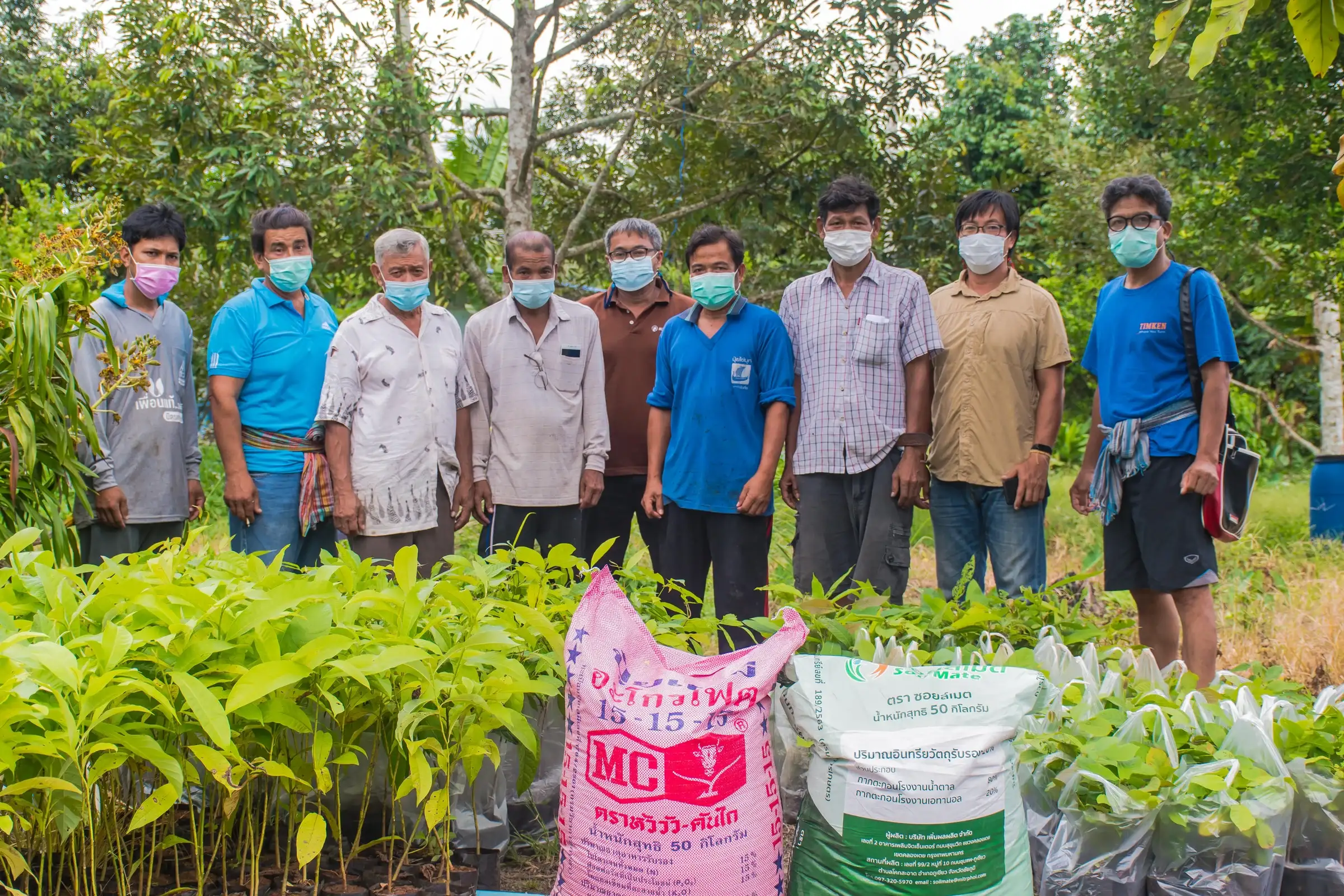 Community tree planters in northern Thailand standing behind rows of seedlings